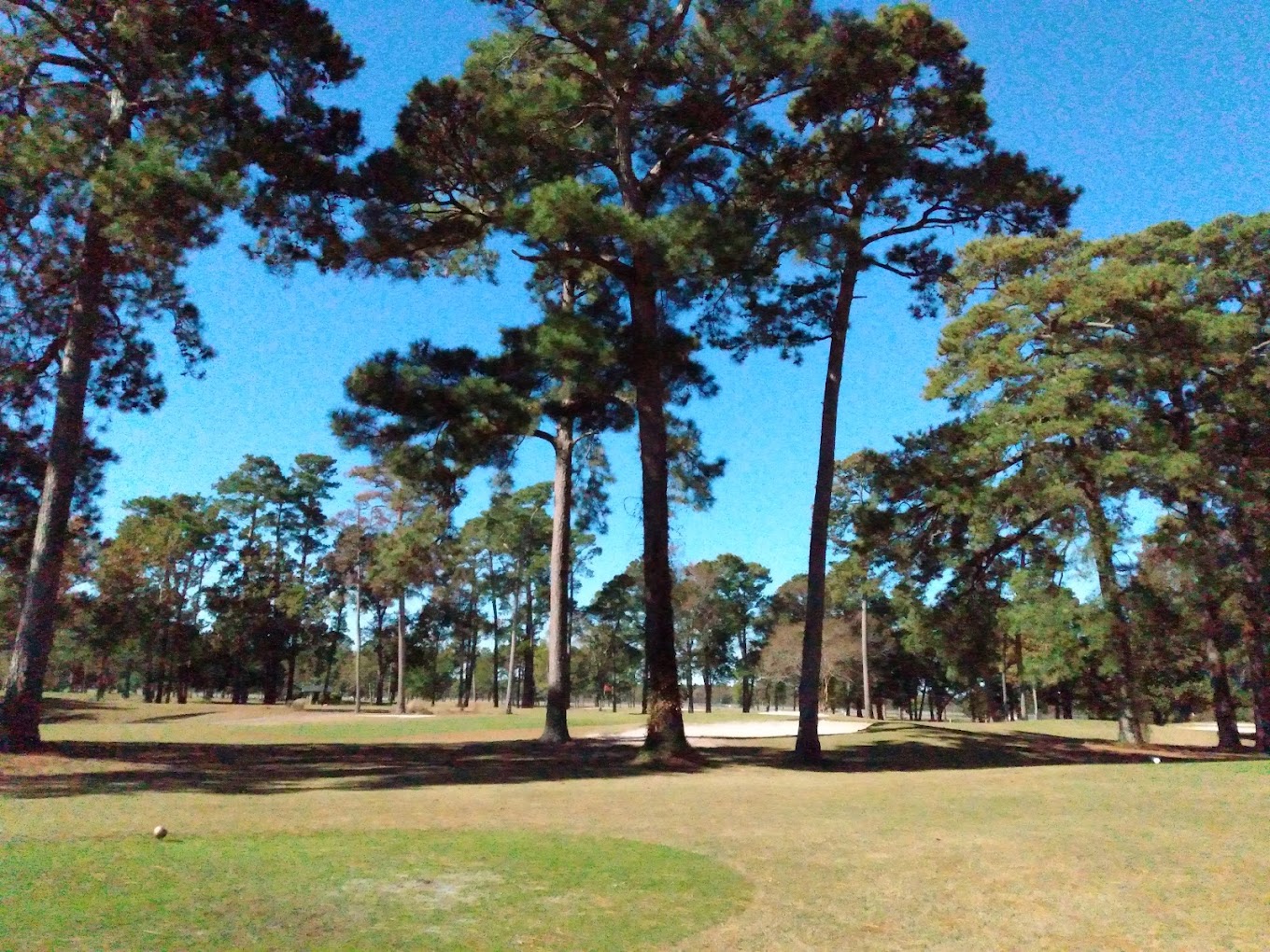 7 Best Golf Courses in North Myrtle Beach image thumbnail