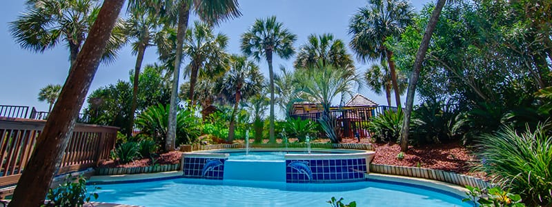 Beach Cove Fountain and Palm Trees